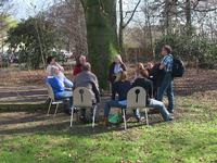 Mitgliederversammlung des Kinaesthetics Verein Deutschland e.V. - Interaktionen unter Bäumen